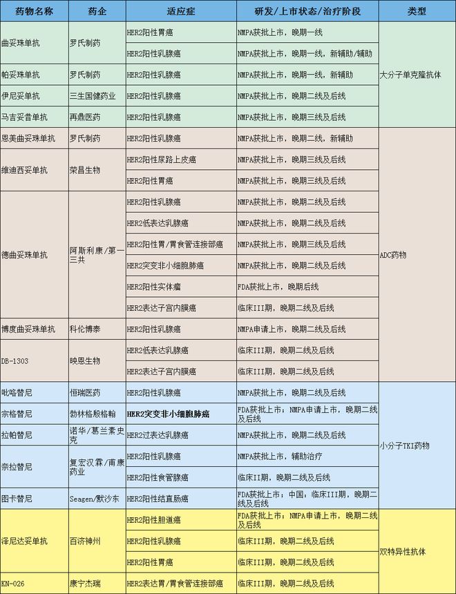 MTB探讨：HER2阳性晚期肝内胆管癌治疗策略｜第45轮长征疑难肿瘤MTB会议(图13)
