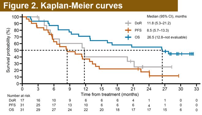 肺癌靶向治疗耐药后“艾托组合抗体”助力患者长生存(图2)