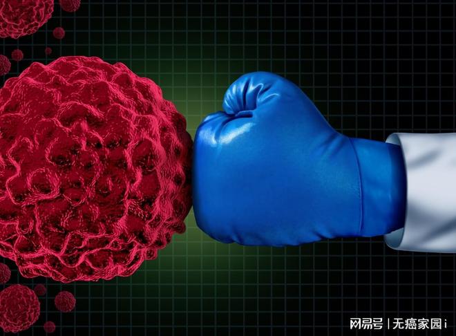 免疫治疗黄金组合：当DC携手NK细胞联合抗癌带来长期生存可能！(图1)