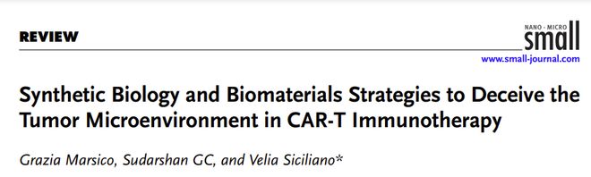 从实验室到临床：合成生物学+生物材料改写CAR-T抗癌格局(图1)