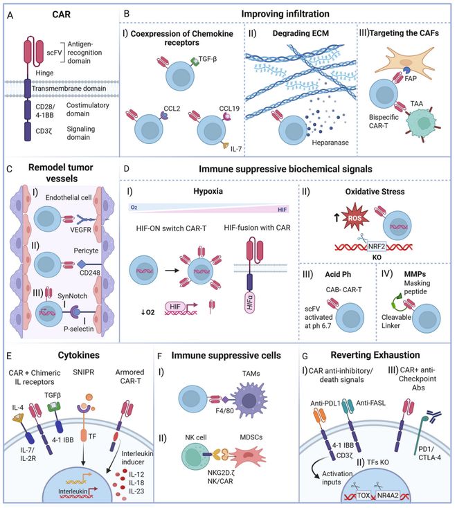 从实验室到临床：合成生物学+生物材料改写CAR-T抗癌格局(图3)