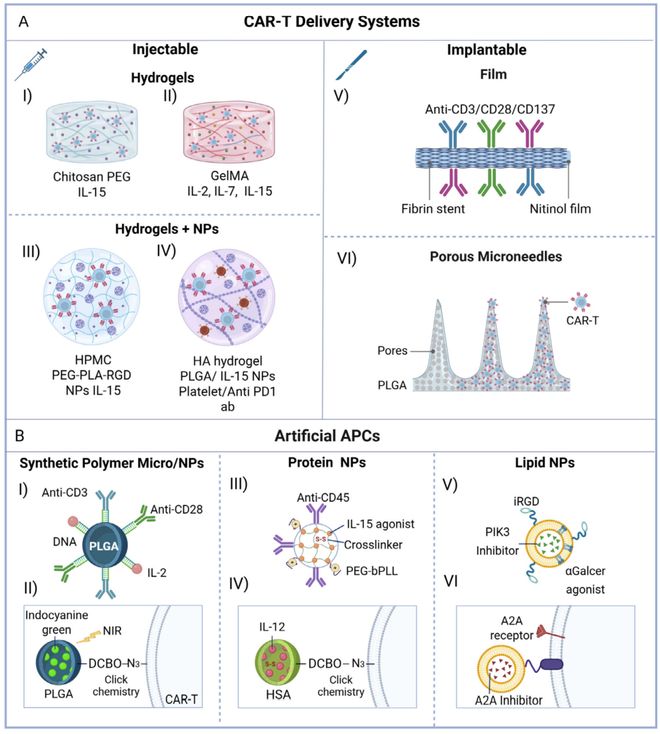 从实验室到临床：合成生物学+生物材料改写CAR-T抗癌格局(图4)