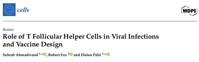 解锁下一代疫苗：让Tfh细胞发力抗体保护更持久(图1)