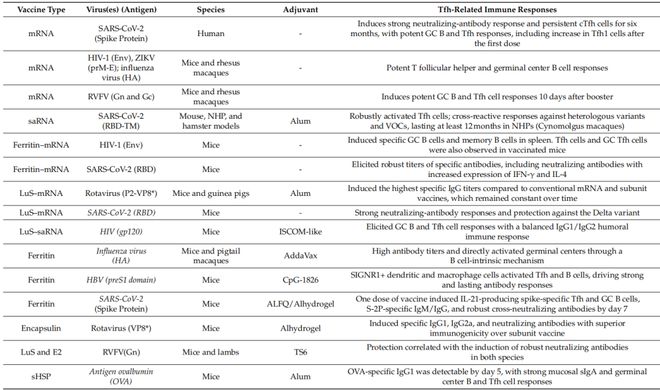 解锁下一代疫苗：让Tfh细胞发力抗体保护更持久(图4)