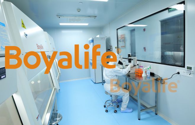 衡量免疫细胞存储机构表现关键看这“五大支柱”质量体系(图1)