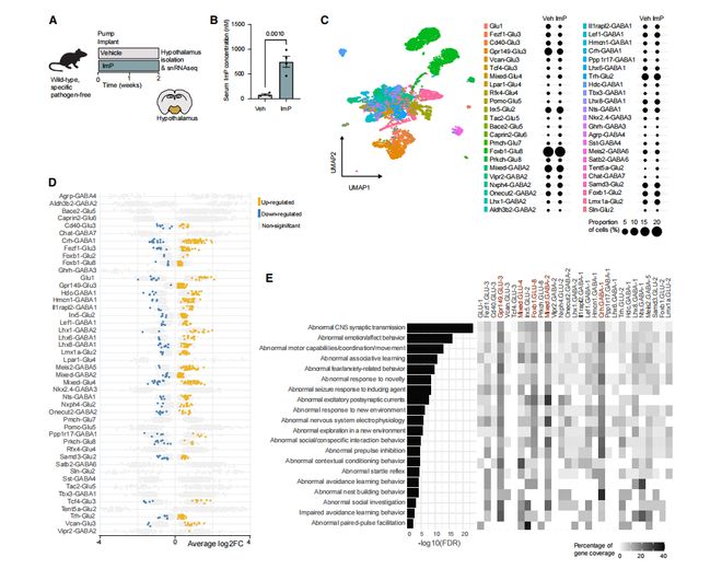 免疫系统总“误伤”自己怎么办？Espejo团队揭示凋亡模拟诱导抗原特异性耐受机制(图1)