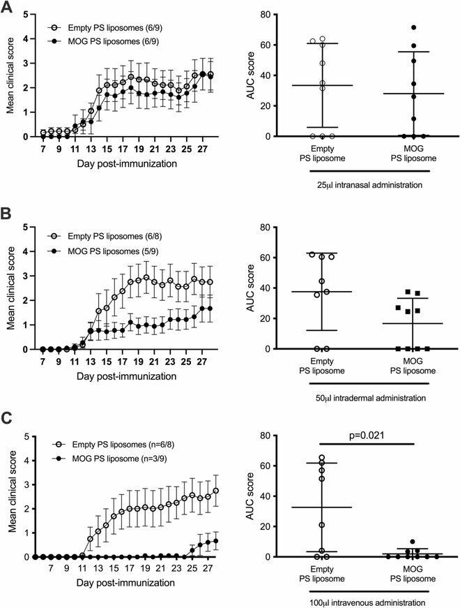 免疫系统总“误伤”自己怎么办？Espejo团队揭示凋亡模拟诱导抗原特异性耐受机制(图4)