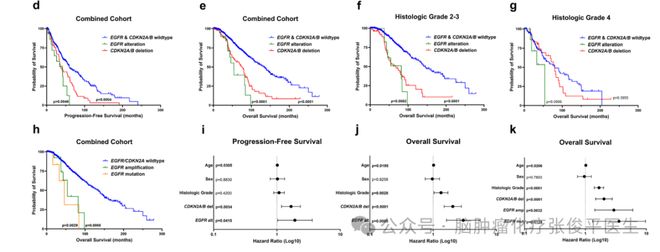 【文献学习】IDH突变型星形细胞瘤中EGFR改变是不良预后因素(图4)