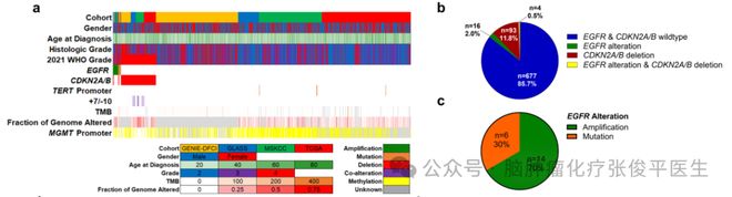 【文献学习】IDH突变型星形细胞瘤中EGFR改变是不良预后因素(图1)