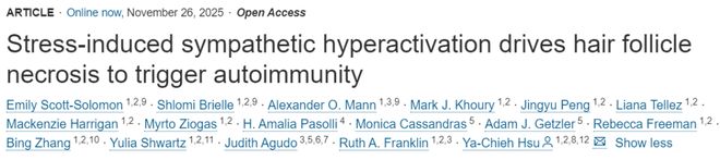 一次压力可能导致反复脱发！新研究揭秘：压力如何“种下祸根”？(图1)