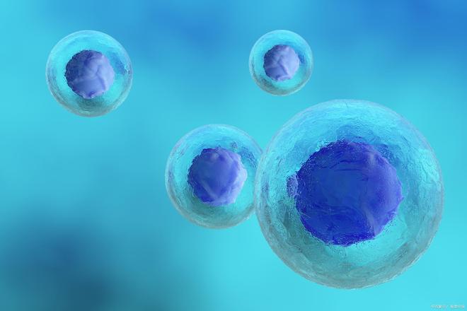 行业盛会：2026北京国际细胞生物与基因治疗展览会(图1)