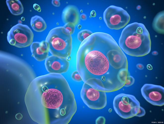 行业盛会：2026北京国际细胞生物与基因治疗展览会(图2)