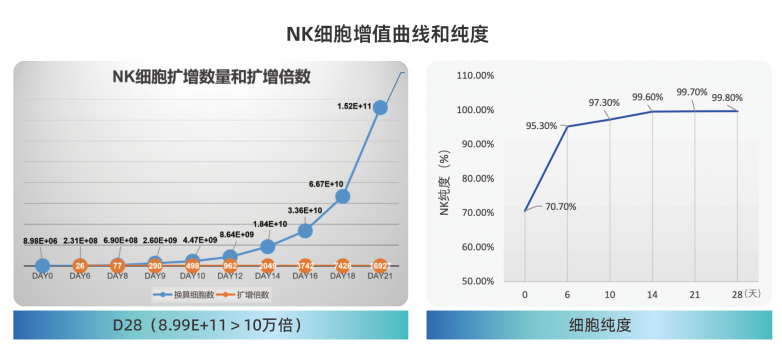 喜报华辰生物NK细胞制备体系获美国FDADMF备案推动细胞治疗产业标准化发展(图2)