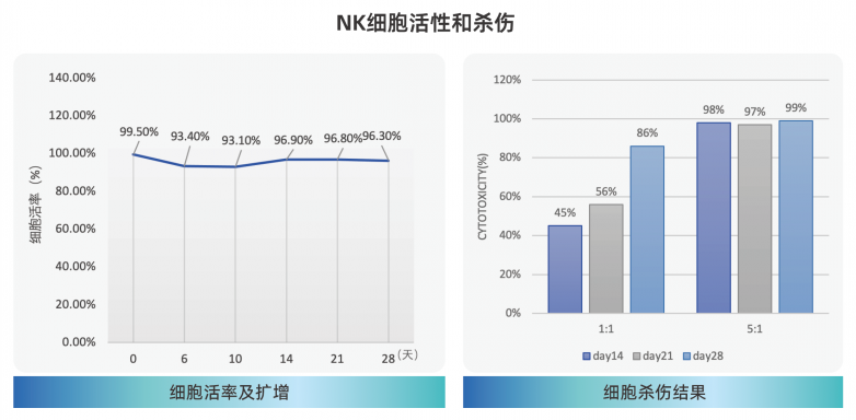 喜报华辰生物NK细胞制备体系获美国FDADMF备案推动细胞治疗产业标准化发展(图3)
