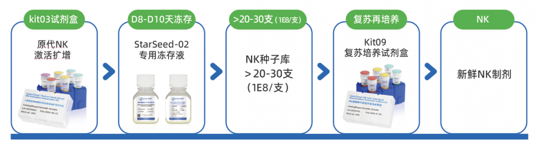 喜报华辰生物NK细胞制备体系获美国FDADMF备案推动细胞治疗产业标准化发展(图8)