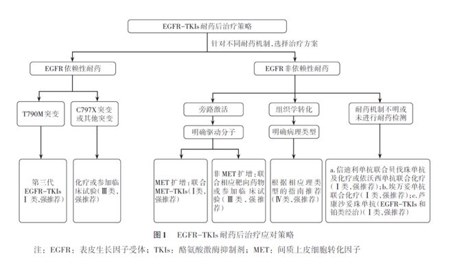 解读EGFR突变肺癌靶向治疗耐药后应对策略专家共识（2025版）(图4)