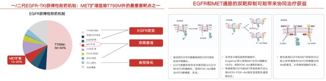 登顶《柳叶刀·肿瘤学》：中国研究全球首次证实MET扩增肺癌精准疗法(图4)