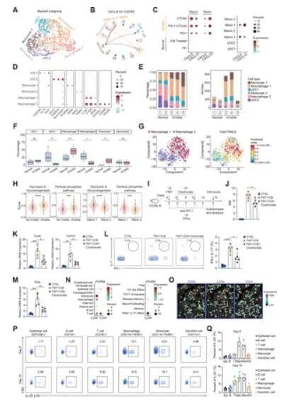 靶向巨噬细胞！南方医科大学南方医院等单位合作发文：改善免疫治疗安全性的潜在策略(图2)