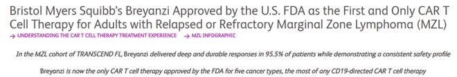 全球唯一BMS豪赌CAR-T(图4)