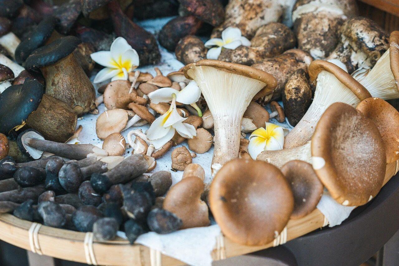 这种常见食材有助于延缓大脑衰老还能防癌！(图2)