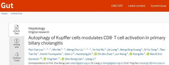 Gut丨廉哲雄李亮韩英团队揭示：Kupffer细胞自噬可能是原发性胆汁性胆管炎（PBC）治疗新靶点(图1)