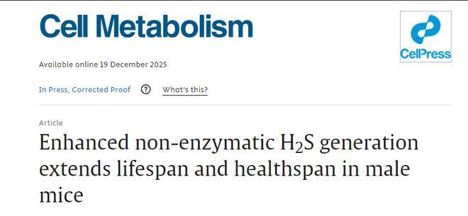 延寿114%效果超二甲双胍！Cell子刊：大蒜中的天然成分能延寿还能防癌、调代谢(图2)