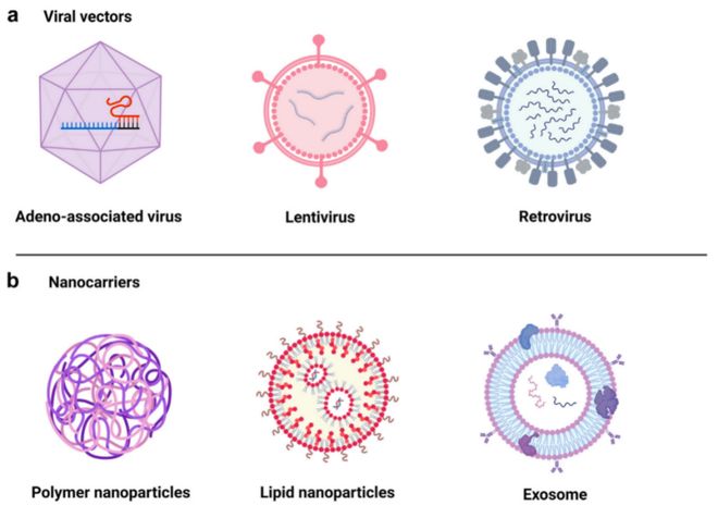 并购频发、管线爆发！体内CAR-T为何成药企必争赛道？(图9)