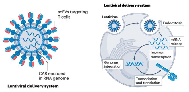 从“体外定制”到“体内生成”CAR-T疗法的下一个十年全解析(图4)