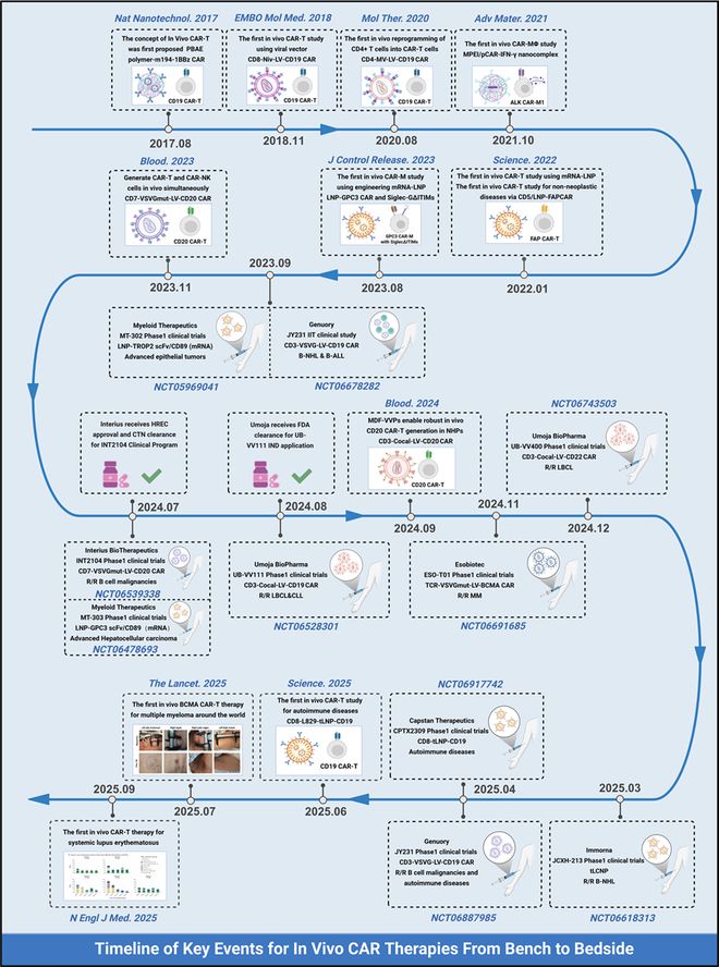 从“体外定制”到“体内生成”CAR-T疗法的下一个十年全解析(图6)