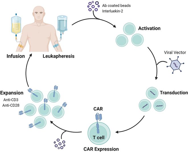 从“体外定制”到“体内生成”CAR-T疗法的下一个十年全解析(图1)
