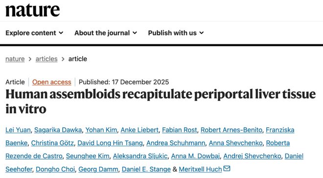 人类“迷你肝”再进化!西湖大学校友Nature论文:构建首个可长期维持的多细胞人源肝脏类器官组装体(图1)