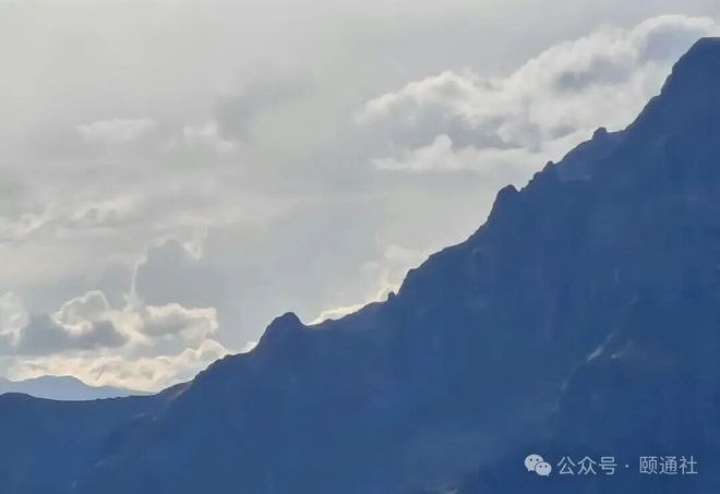 PCR试剂盒八连发！迈瑞抢滩分子诊断(图7)