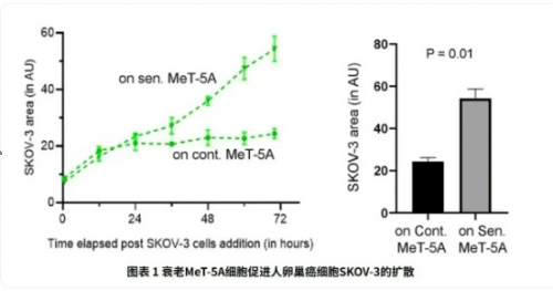 权威期刊揭示：衰老细胞促癌新机制小石丸NMN双向协同技术获科学验证(图1)