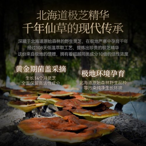 权威期刊揭示：衰老细胞促癌新机制小石丸NMN双向协同技术获科学验证(图3)