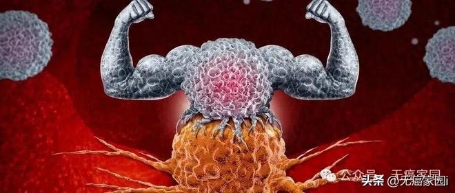 370万天价疗法将被颠覆？国研TIL最快2027年上市惠及实体瘤患者(图1)