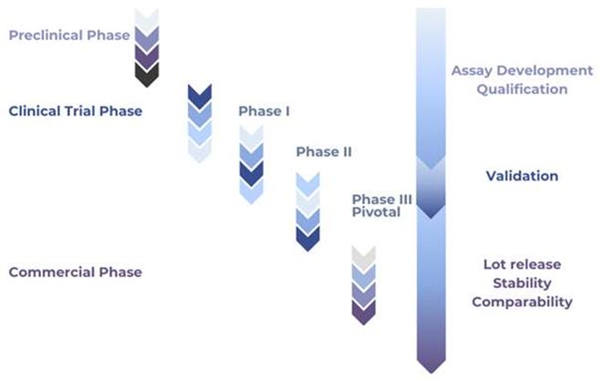CAR-T细胞制造流程：过程控制与质量控制检测(图4)