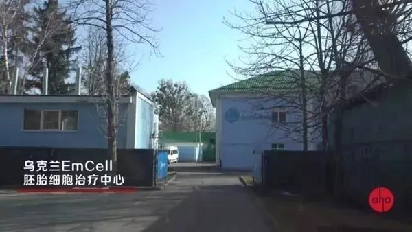 富人长寿的秘密是有钱？NO长寿的秘密普通人也能拥有(图4)