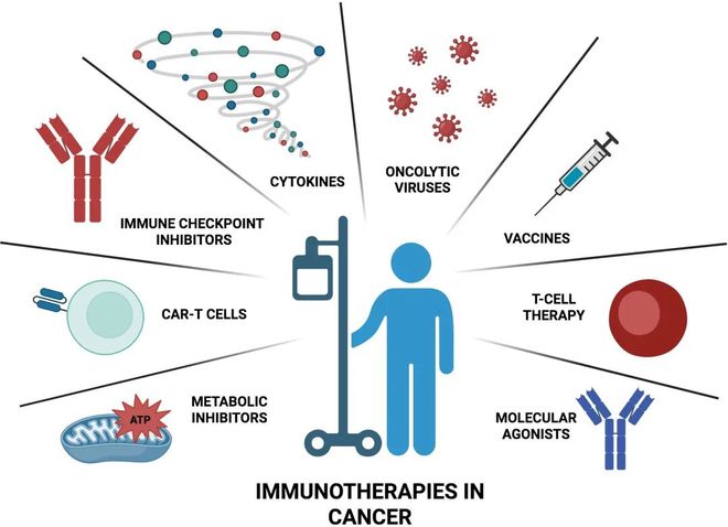 世界癌症日：超过10种免疫细胞疗法已经攻克8类癌症(图3)