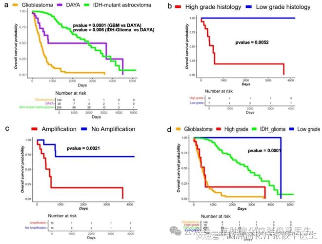 常伴有MAPK通路改变的青少年和年轻成人型弥漫性星形细胞瘤(图3)