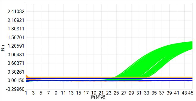 大规模新冠核酸筛查中出现的异常扩增曲线分析(图16)