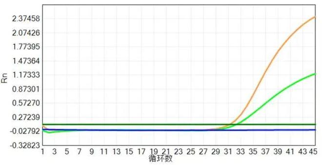 大规模新冠核酸筛查中出现的异常扩增曲线分析(图20)