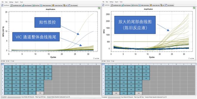 10种新冠核酸检测异常扩增曲线分析(图1)