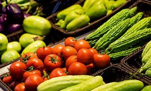 中研网行业资讯_中研普华行业研究网(图3)