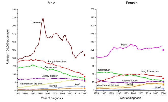 神刊CA:美国2024癌症报告预估新发病例突破200万(图4)