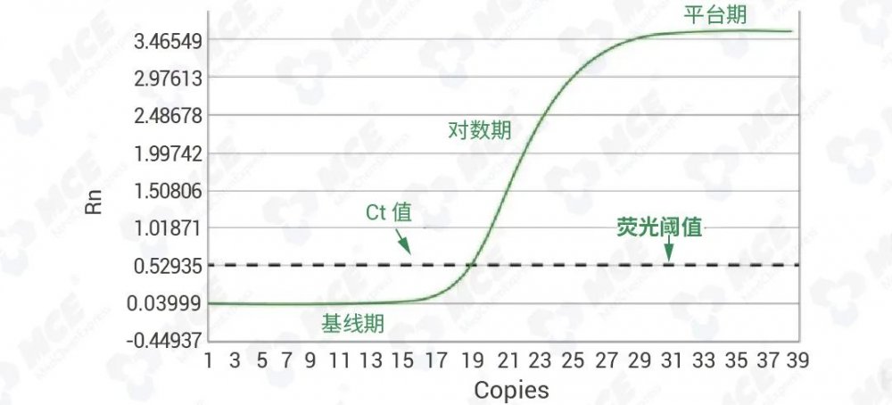 熔解曲线与Ct值:评价qPCR实验是否成功的“隐形英雄”?(图5)