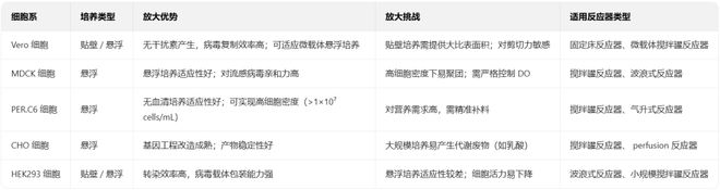 生物反应器的放大生产：从实验室到工业化的关键技术(图1)