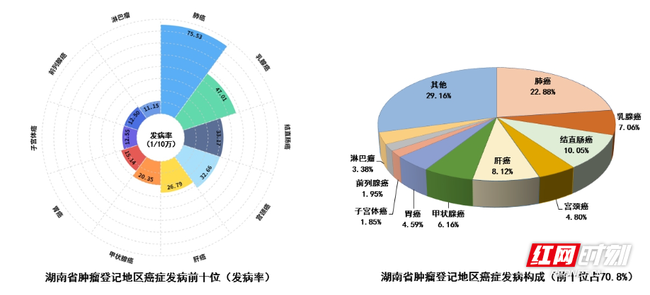 甲状腺癌发病增幅超15%!2024湖南省肿瘤登记年报数据发布(图1)
