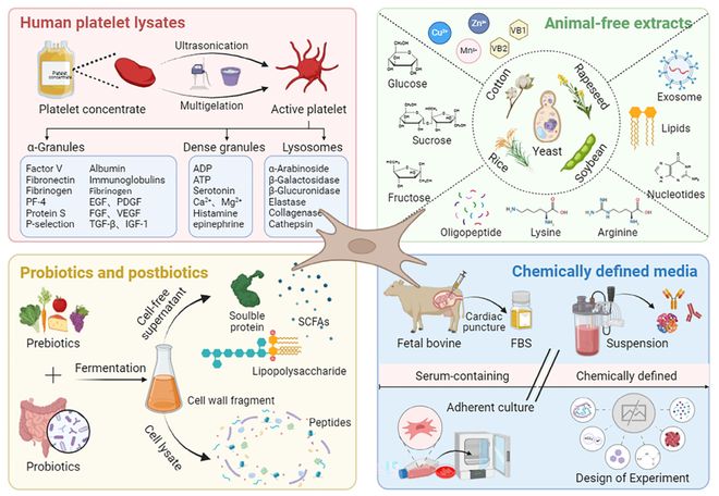 生物制药关键:CHO细胞无血清培养基的前世今生及展望(图3)