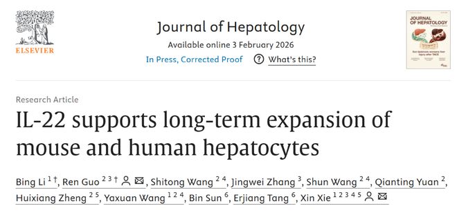 JHepatol丨谢欣团队发现细胞因子IL-22支持小鼠和人肝细胞体外长期扩增(图1)