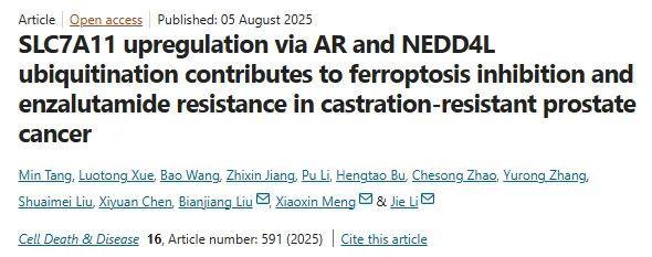 南京医科大学新发现：破解癌症耐药“密码”为临床治疗打开新窗口(图1)